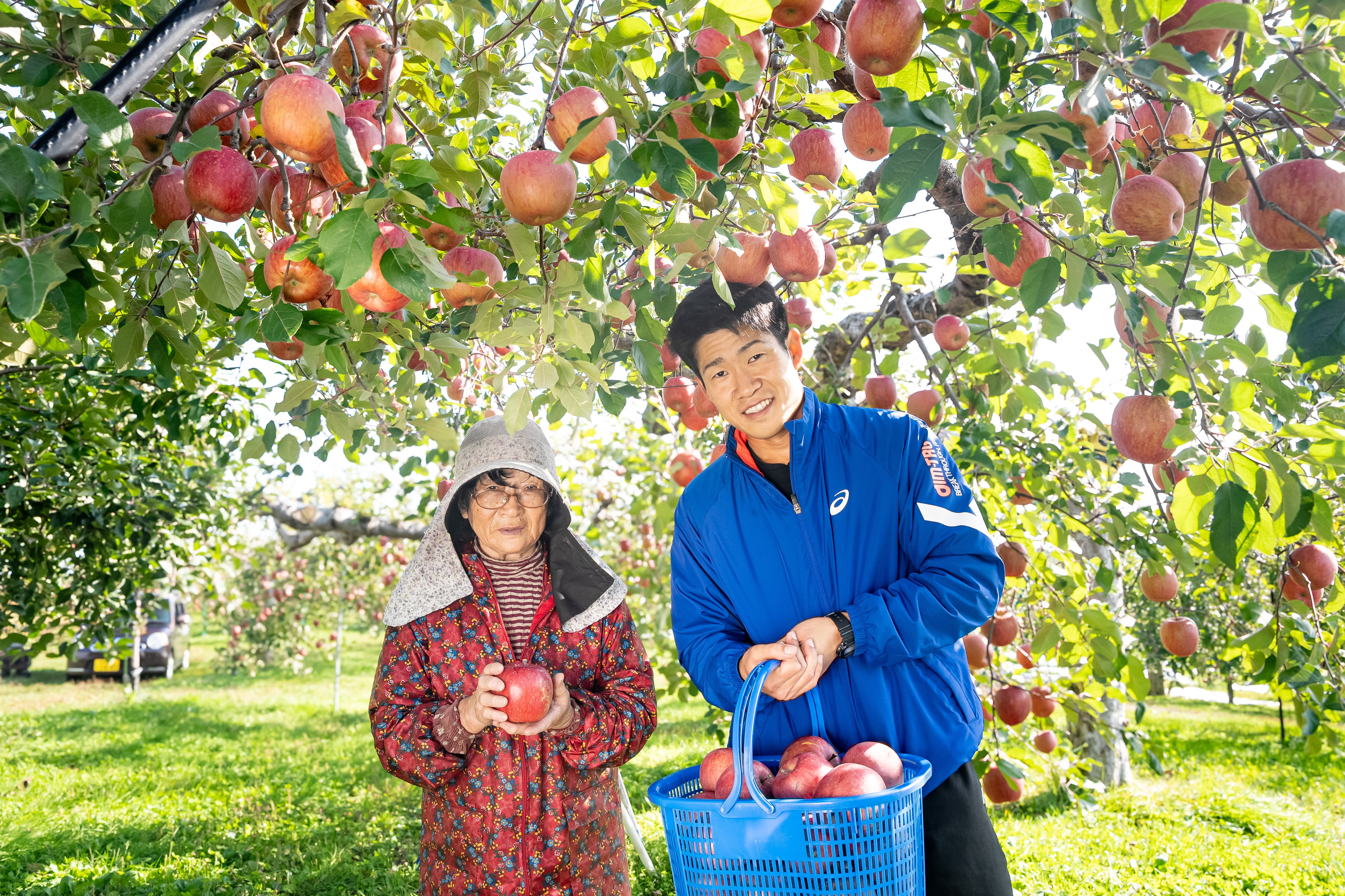 りんご園 長峰｜産地直送ギフト・通販｜青森県五所川原市 – nagamine