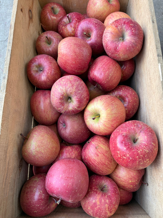 長峰のワケあり